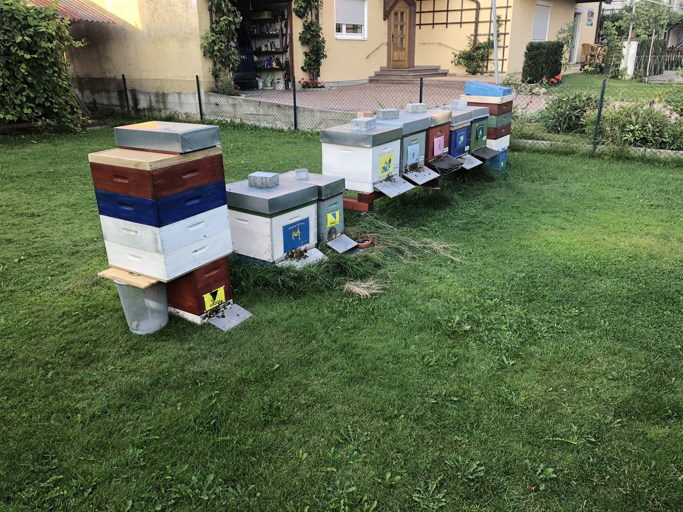 Reihe bunter Bienenstöcke am Bienenstand